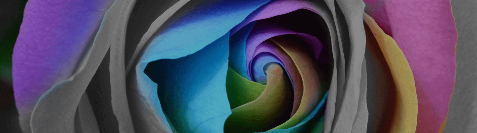free app to change color of object in photo free app to change color of object in photo