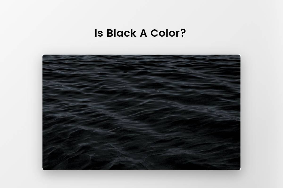 Is Black a Color? The Ultimate Guide on Black Color | Fotor
