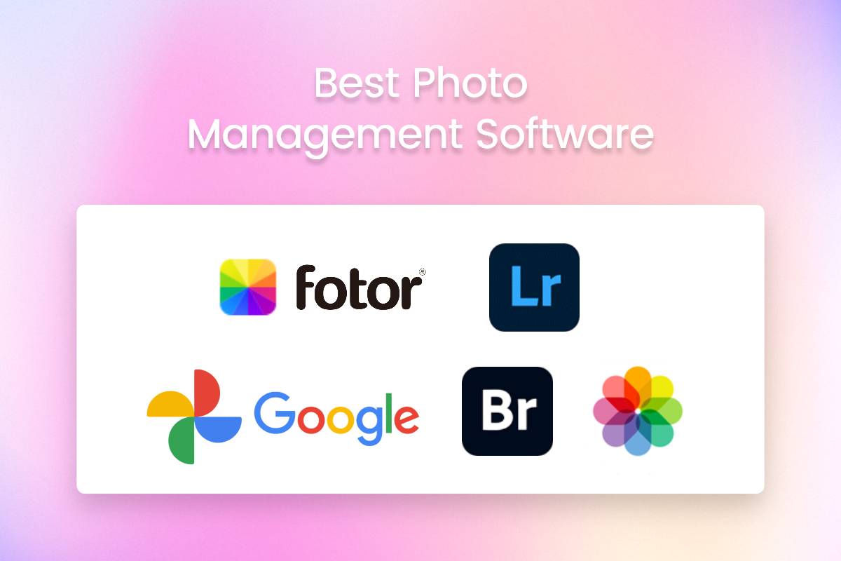 10 Best Photo Management Software Programs Of 2023-2024
