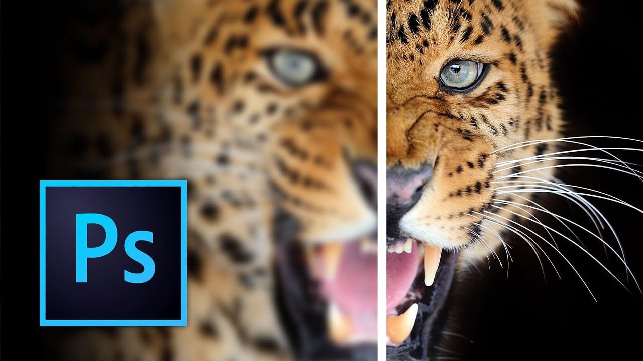 3 Easy Ways to Make Blurry Image Clear and Sharp