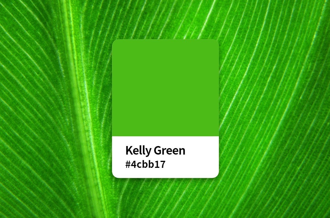 Everything About Kelly Green Color: Color Meaning, Hex Code, Symbolism