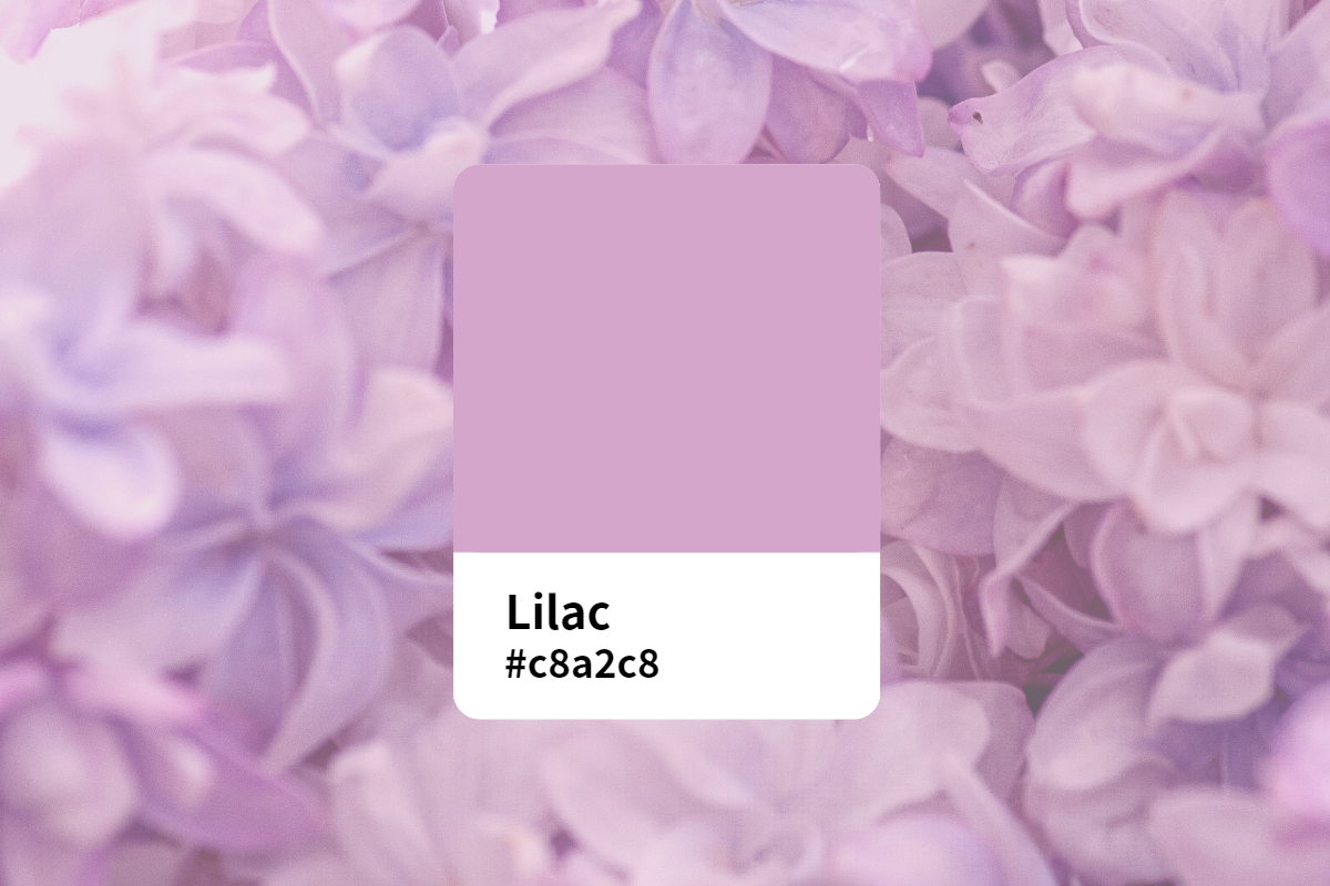 Lilac Color là một màu sắc lãng mạn và tươi sáng, đầy sức sống. Những hình ảnh về màu xanh lơ này sẽ mang lại cho bạn cảm giác dịu dàng và thanh thoát. Hãy xem các hình ảnh này để tìm được sự cân bằng và sự yên bình cho tâm hồn của mình.
