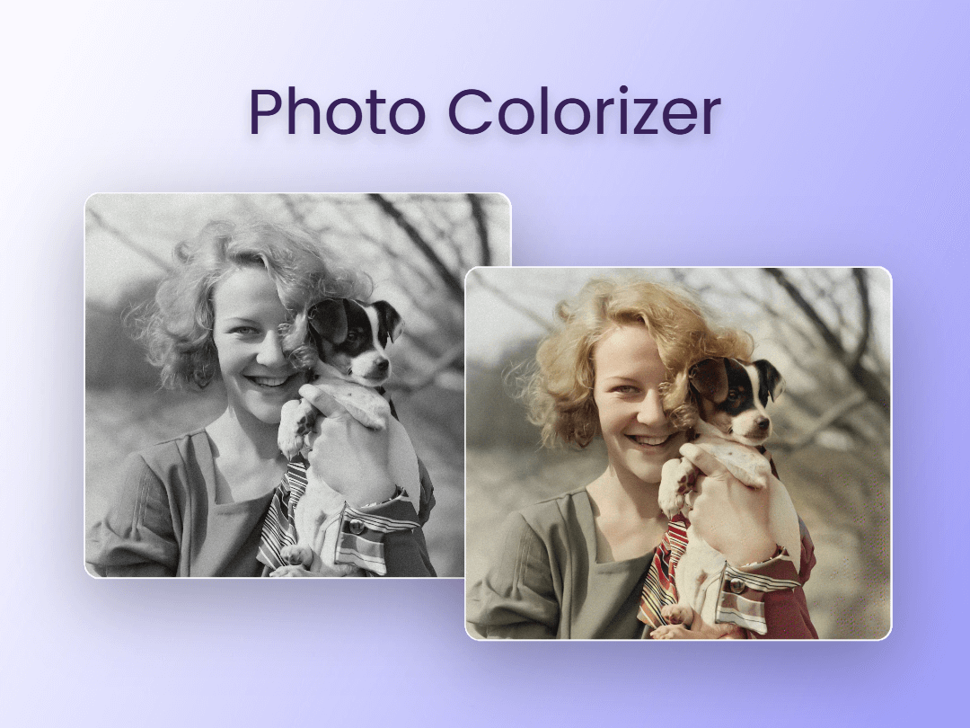 New colorizer2