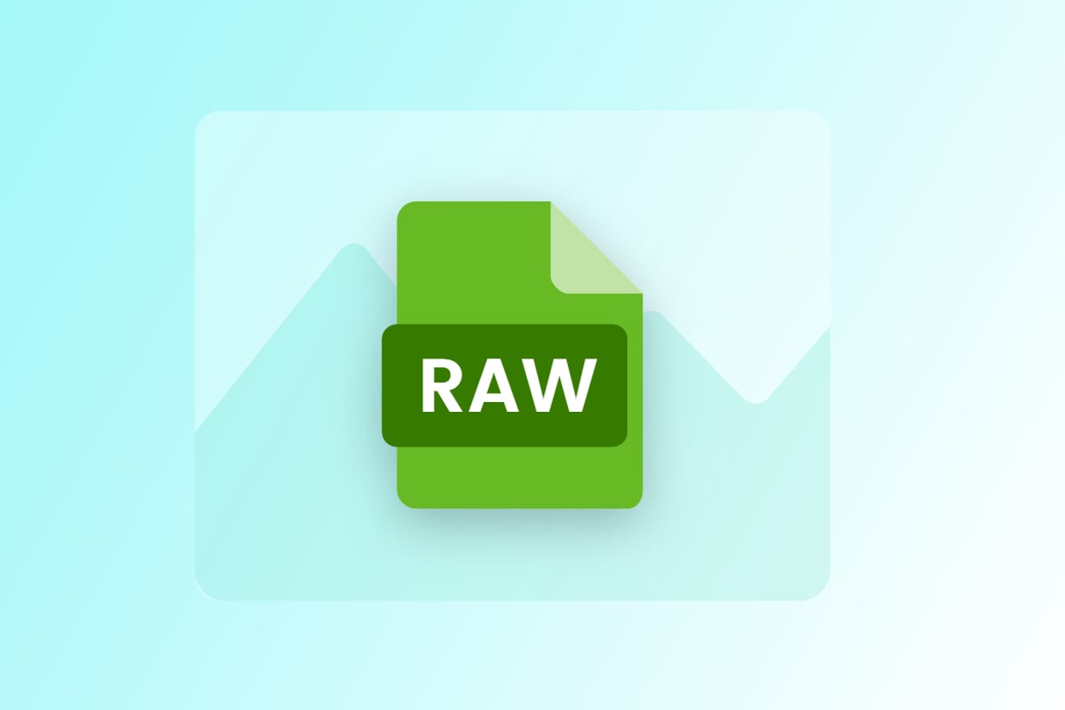 What is A RAW Photo? (Everything You Need to Know) | Fotor