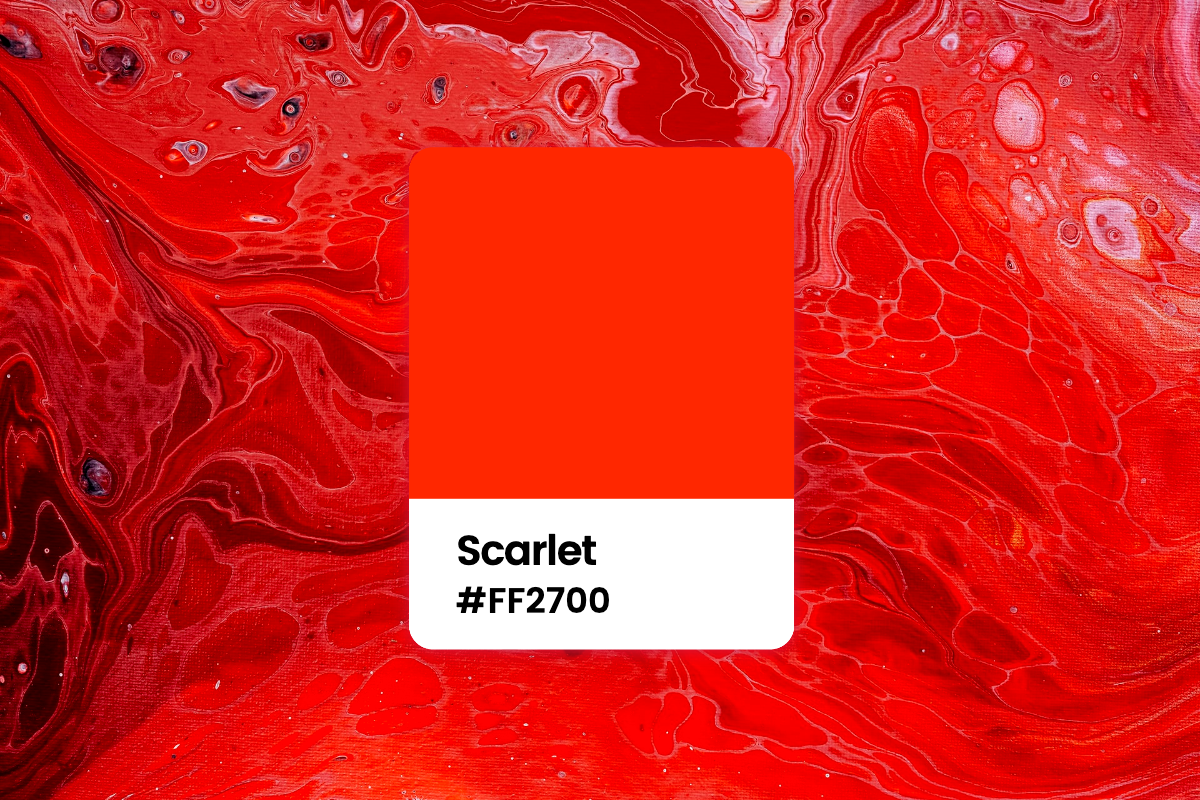 All You Want To Know About Scarlet Color: Meaning, Combinations And  Palettes | Fotor