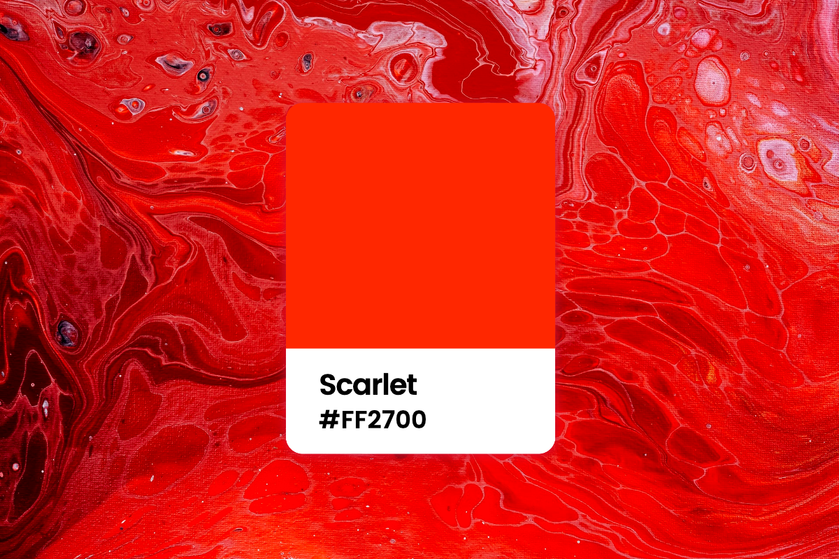 All You Want to Know About Scarlet Color: Meaning, Combinations and