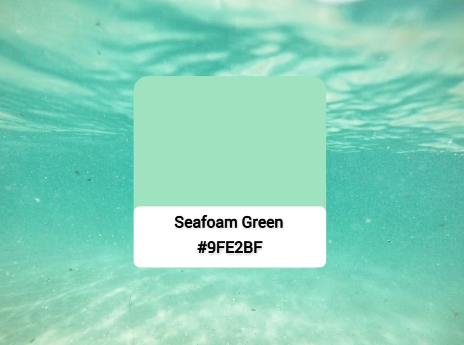 Seafoam Green Color And Its Hex Code 