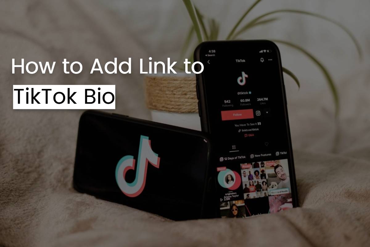 How to Add Link to TikTok Bio Quick Guide in 2023 Fotor