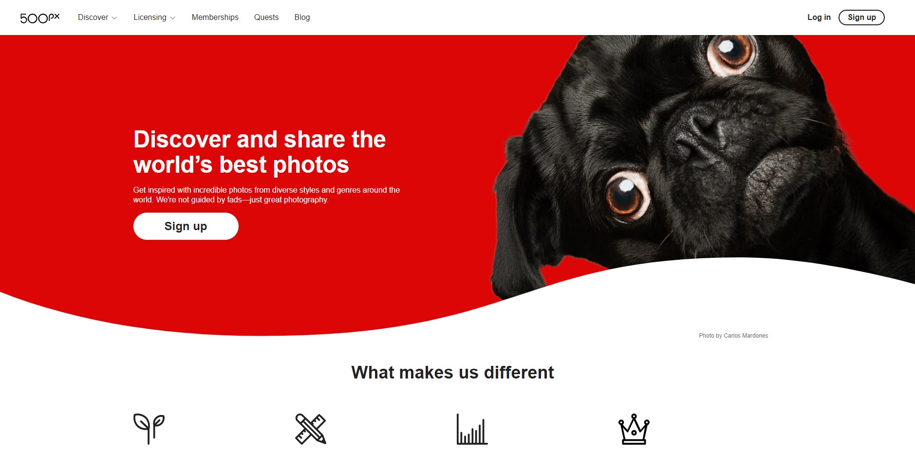 500px home page with a dog