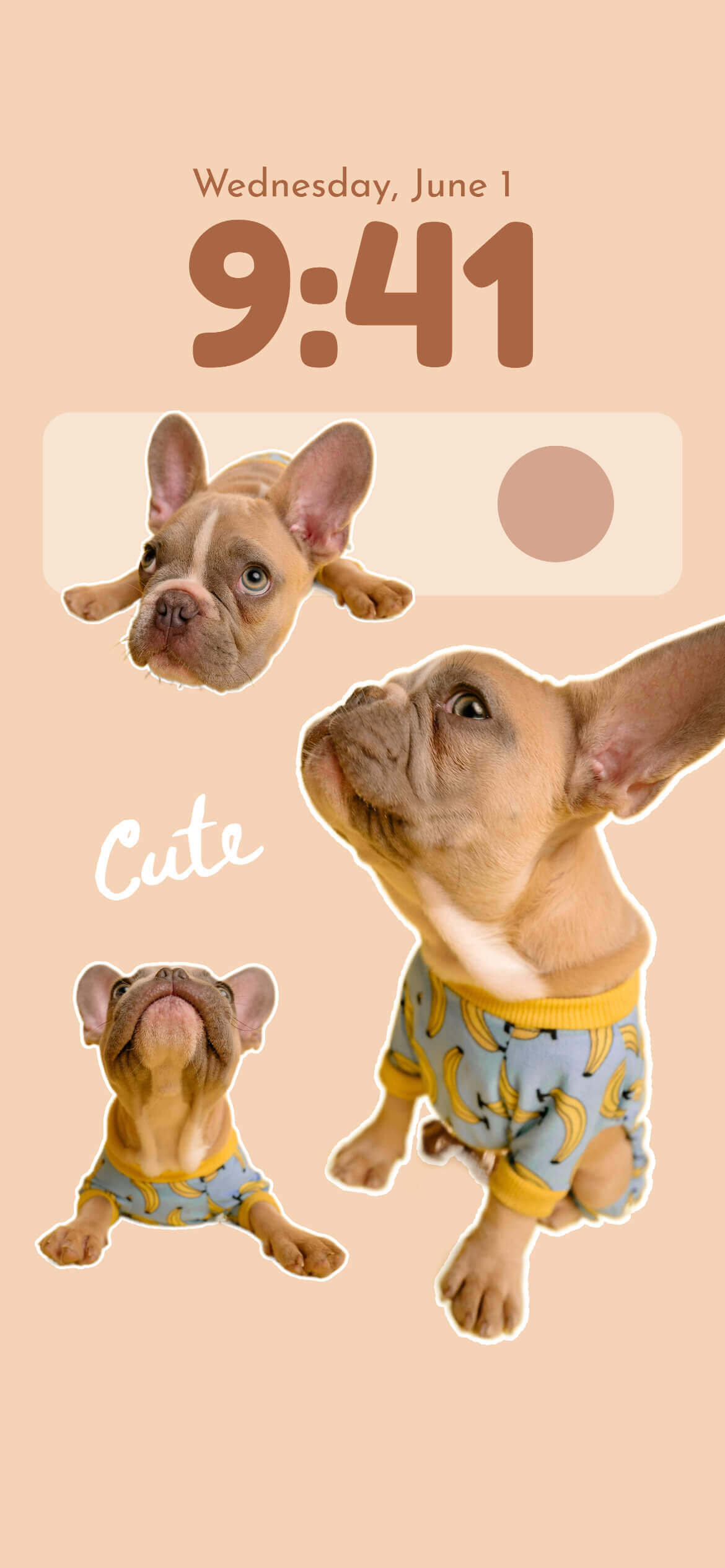 Beige Cute Funny Dogs Cutout iPhone Lock Screen