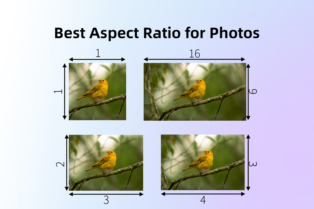 Best Aspect Ratio for Photos
