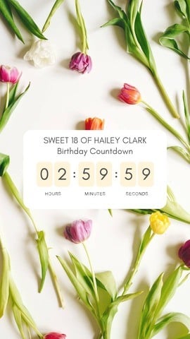 Birthday Countdown Instagram Story Template