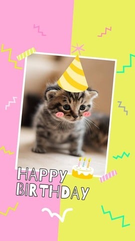Birthday Instagram Story Template for Pets