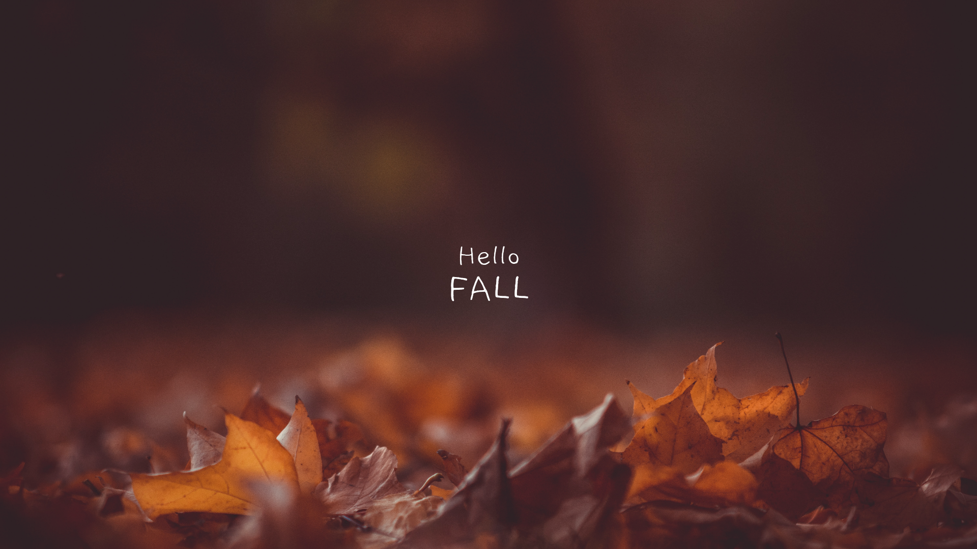 fall season quotes and sayings