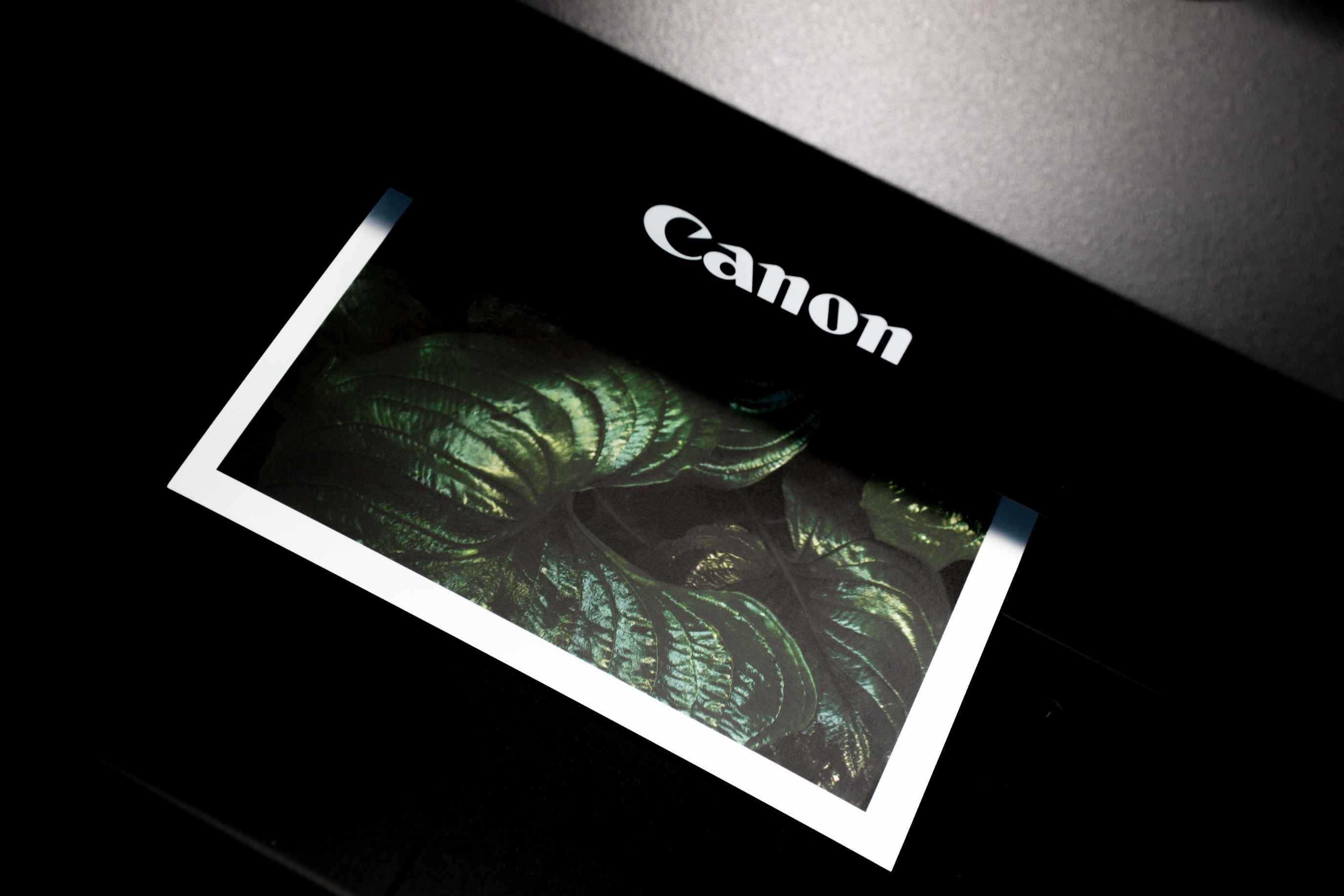 Canon printer prints photos