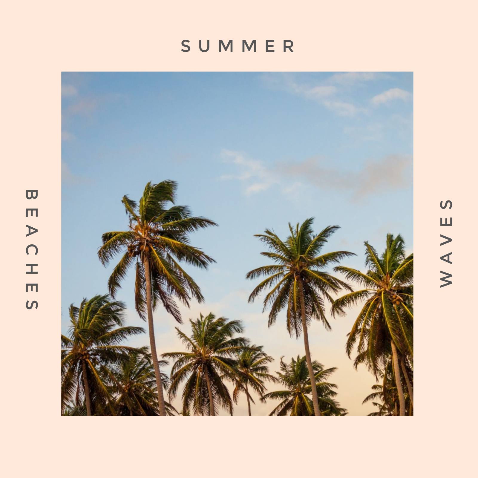 summer tree sky album cover