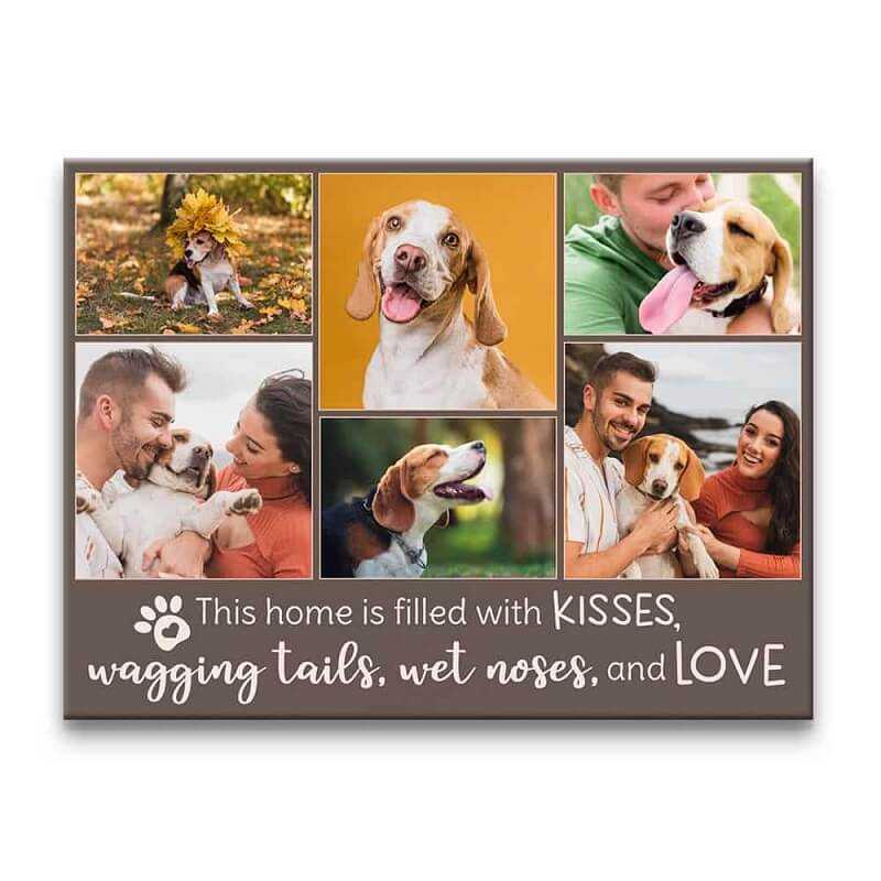 Dog photo collage ideas