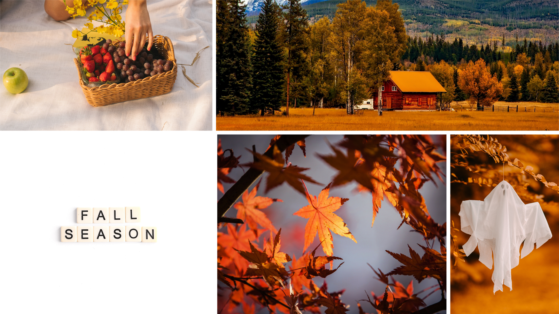 fall season collage