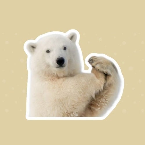 Funny Polar Bear Discord PFP