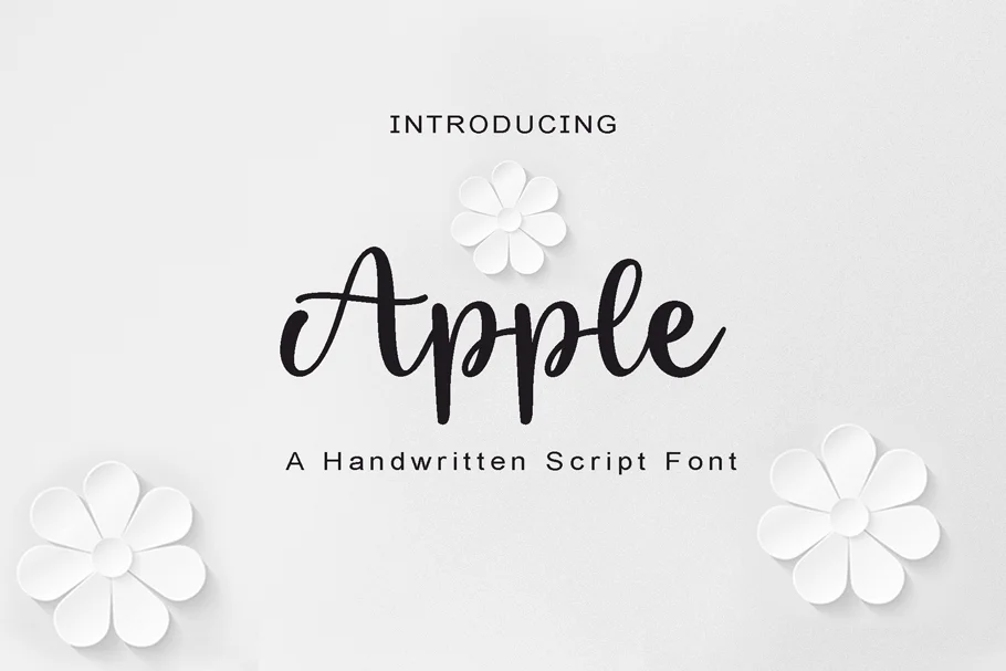 Handwritten and Script Font