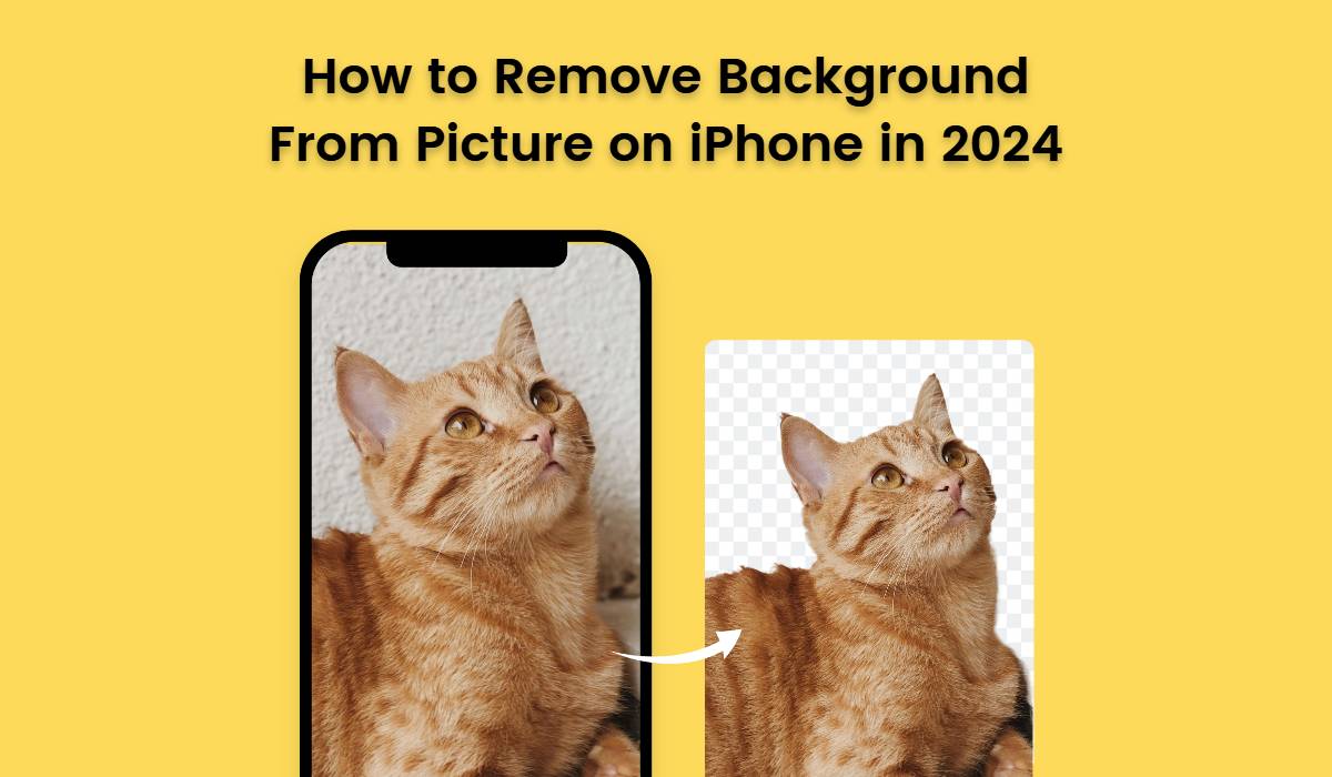 How to Remove Background From Picture on iPhone in 2024 - Fotor Blog