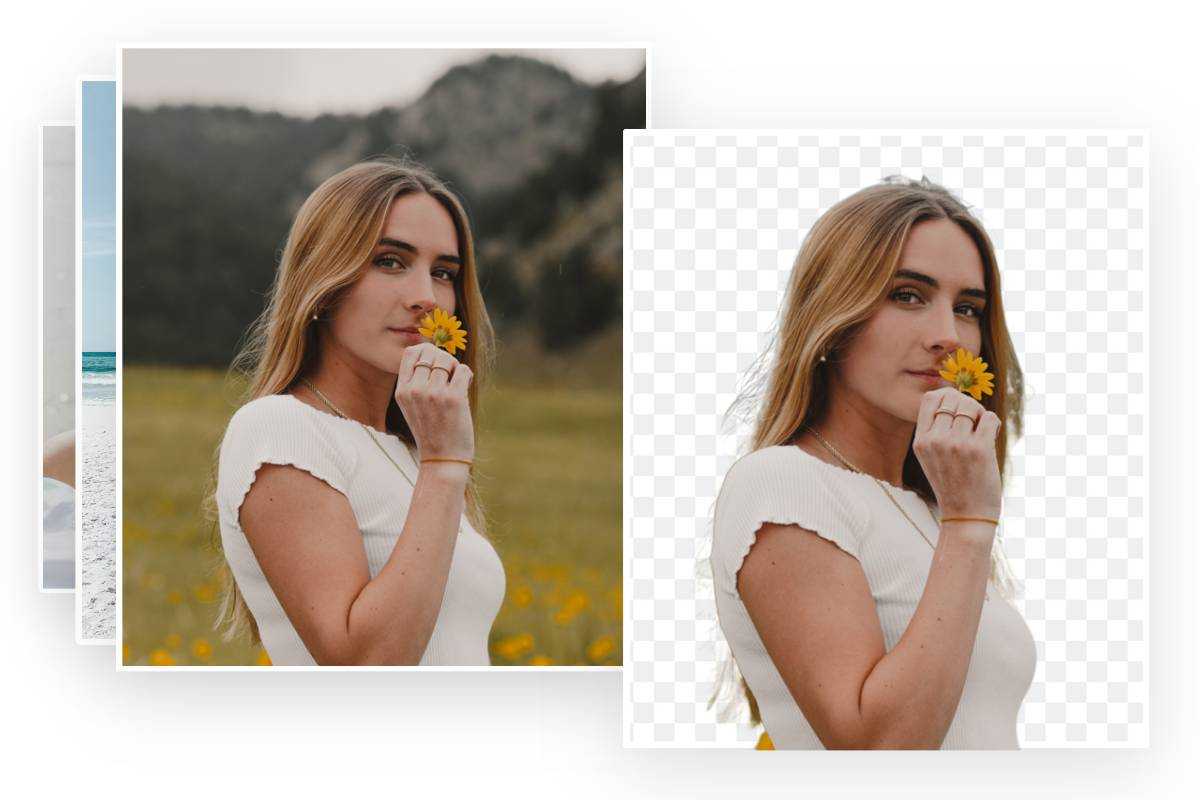 How to Remove Background from Picture: Free Tools & Apps | Fotor
