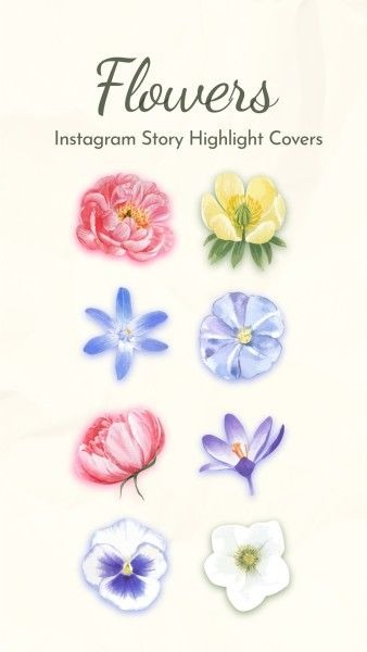 Illustration Watercolor Spring Wild Flowers Instagram Highlight Cover