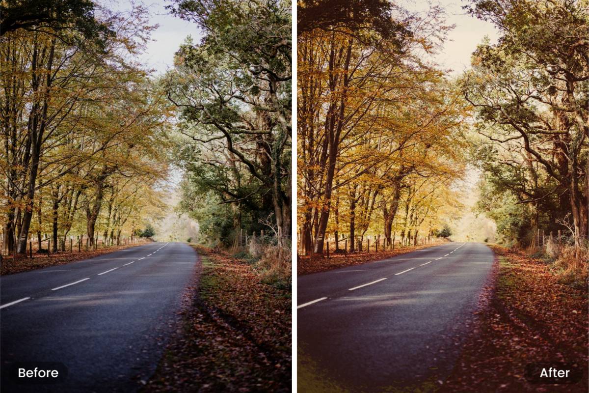Landscape film filter effect comparison