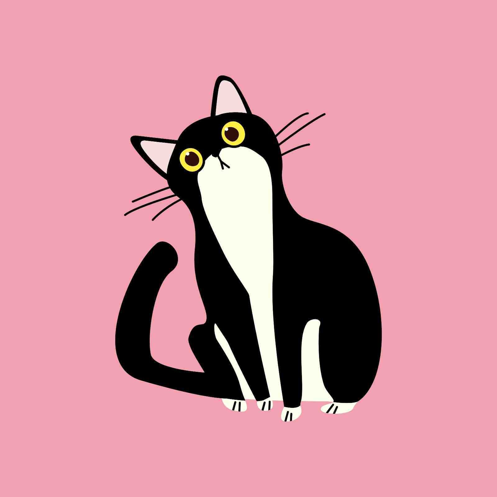 Pink And Black Cat Cute Discord PFP