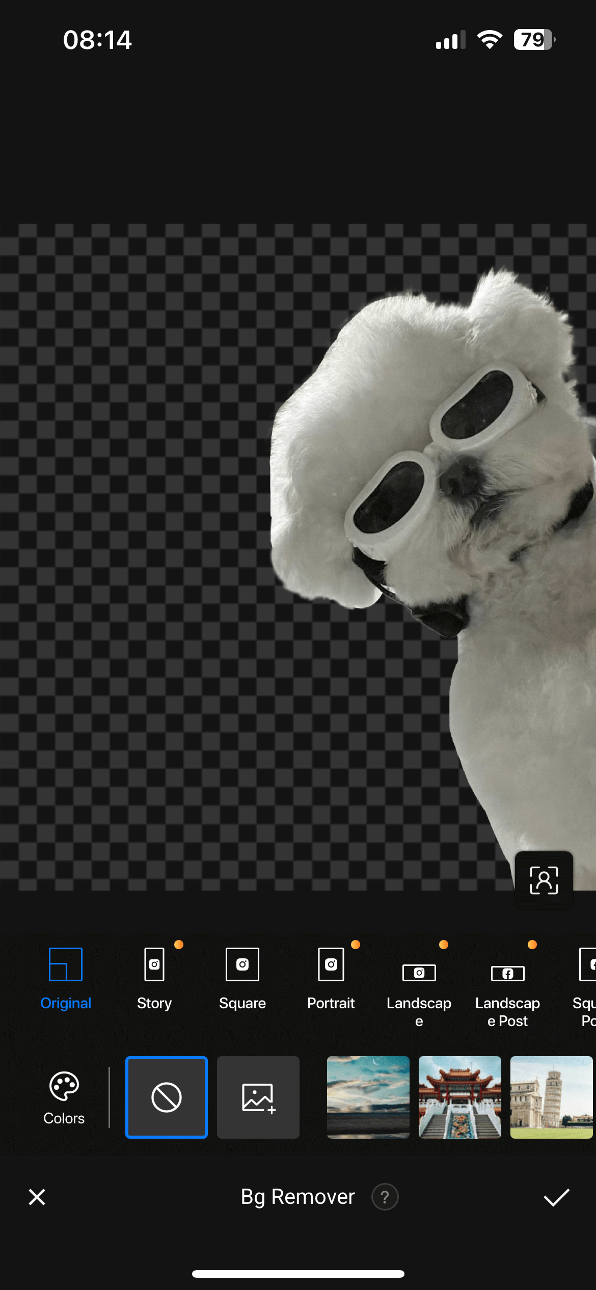 Remove the background of the puppy picture with Fotor's background remover