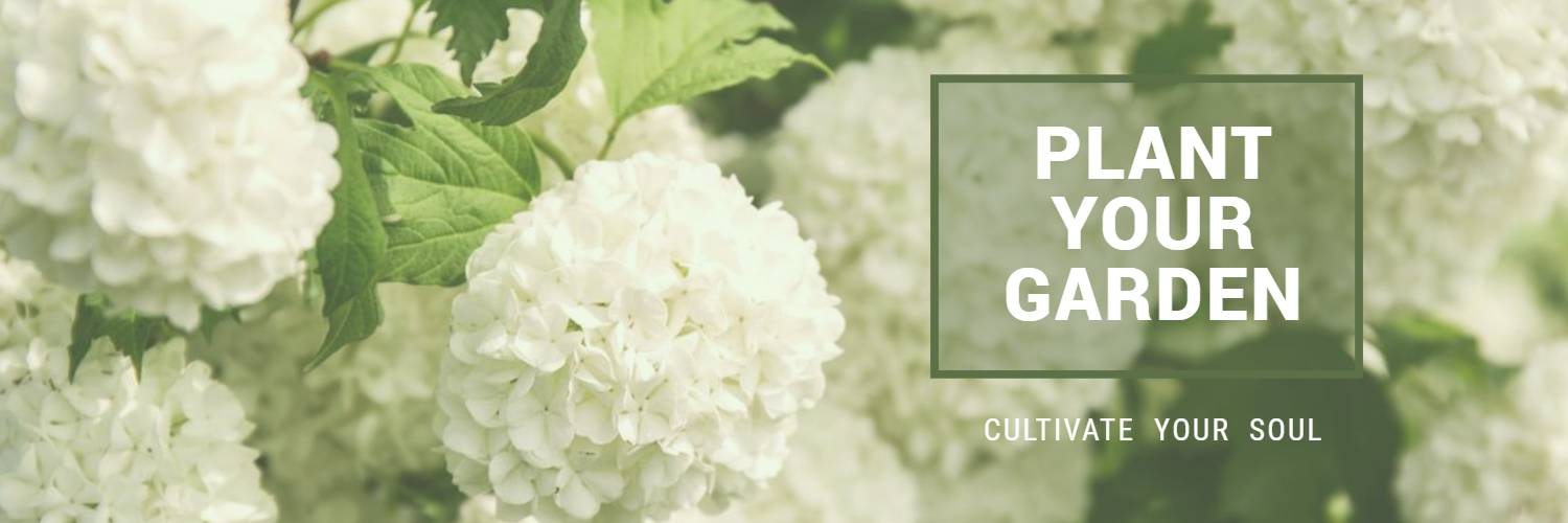 vintage white flowers twitter cover