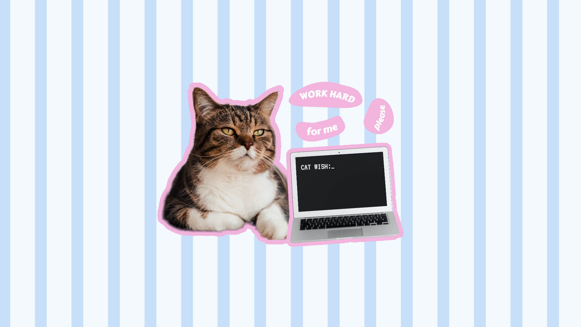 White And Blue Stripes Background Cat Meme