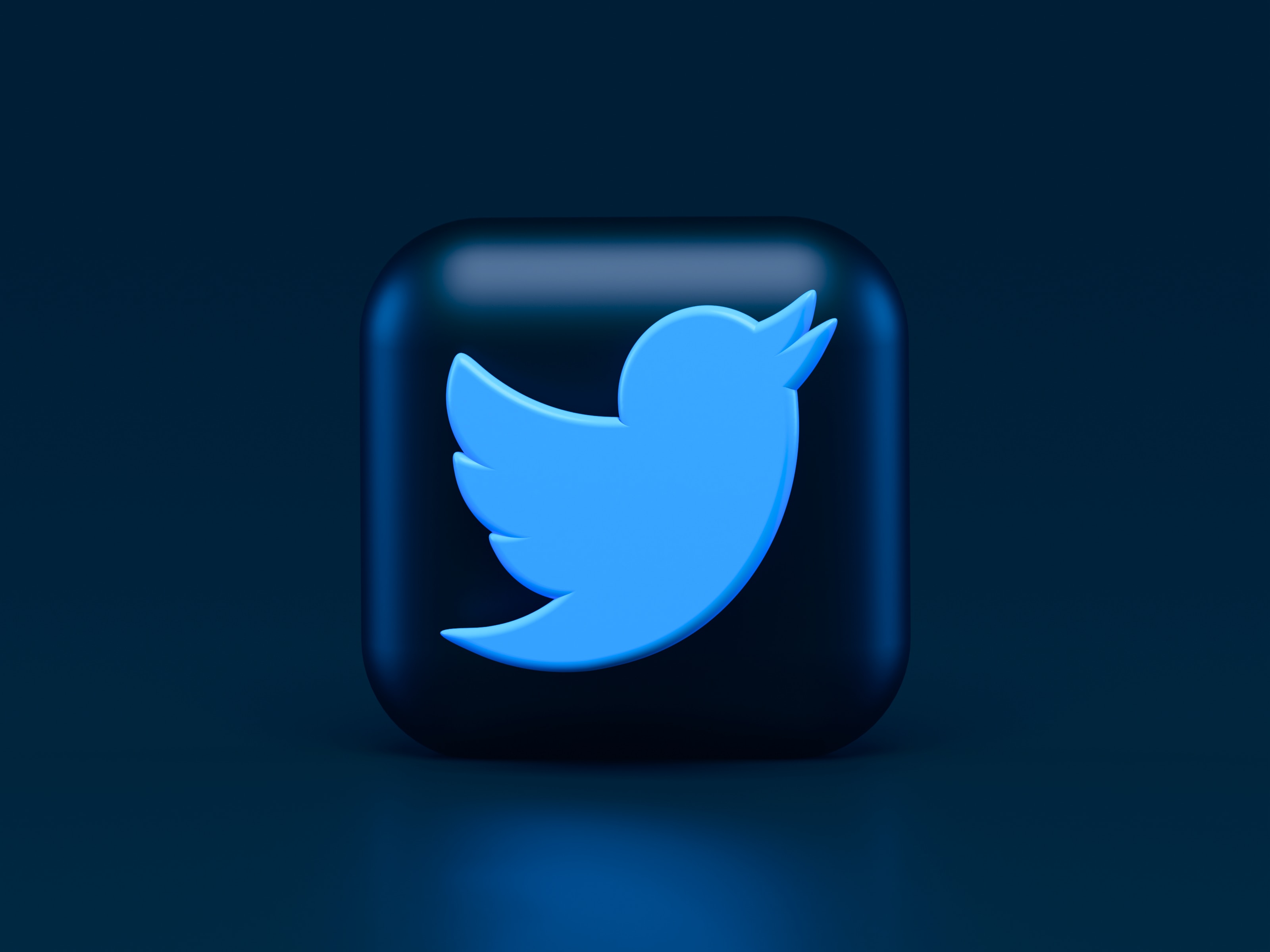 a 3d twitter icon with dark blur background