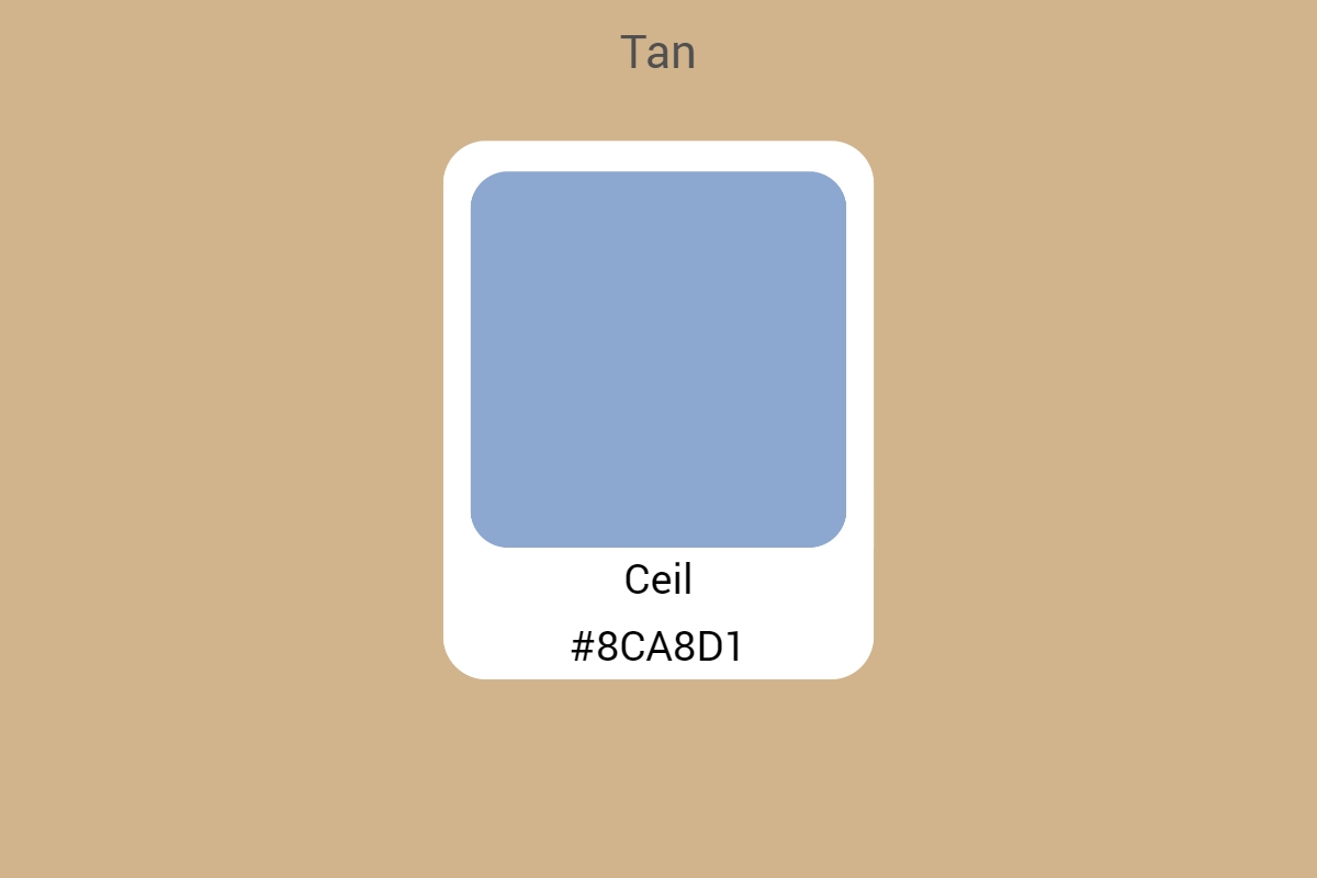 All You Need To Know About Tan Color An Ultimate Guide