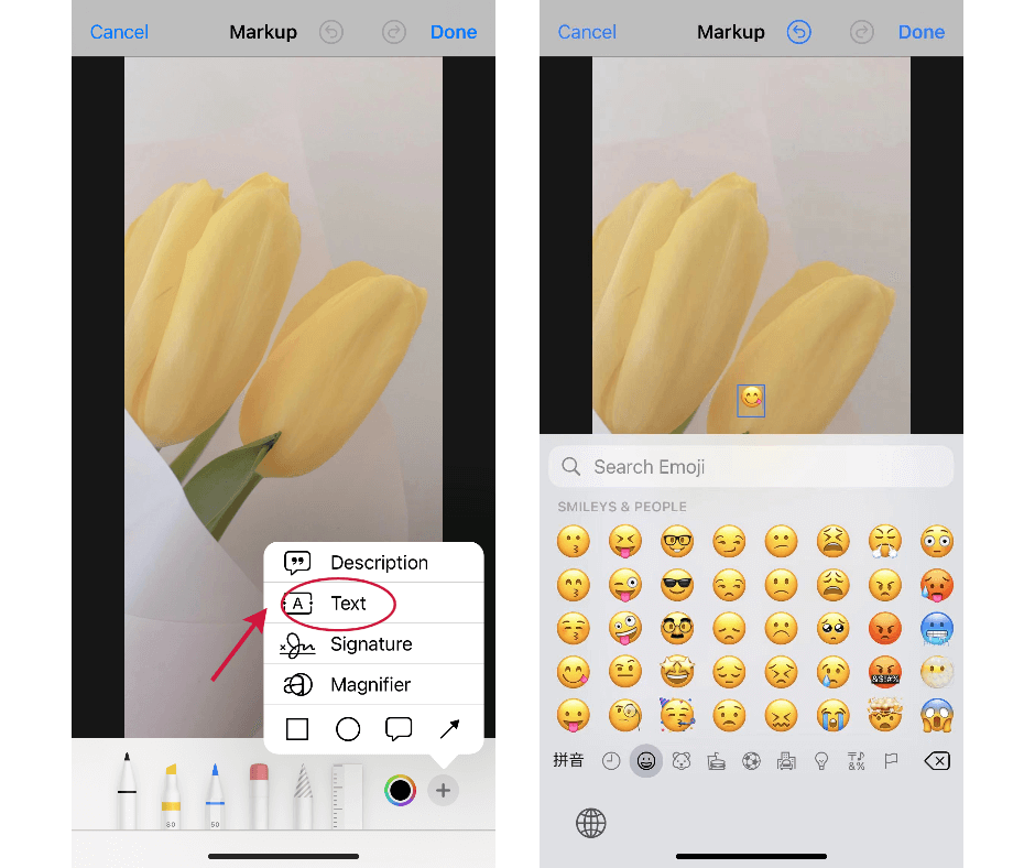 adding emoji to photo iphone