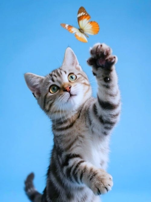 AI生成图像：在圖片中添加物品