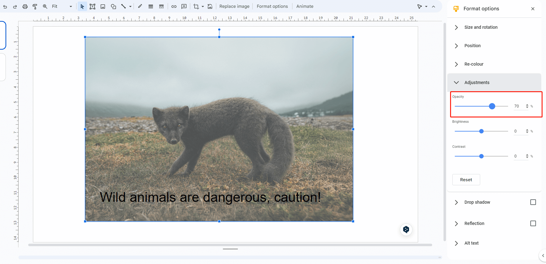 adjust the opacity of an animal image to make its background transparent in google slides