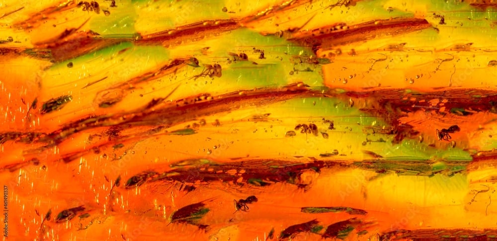 amber color of a real amber stone