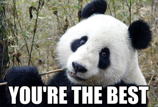 an inspired meme featuring a panda and the caption you are the best