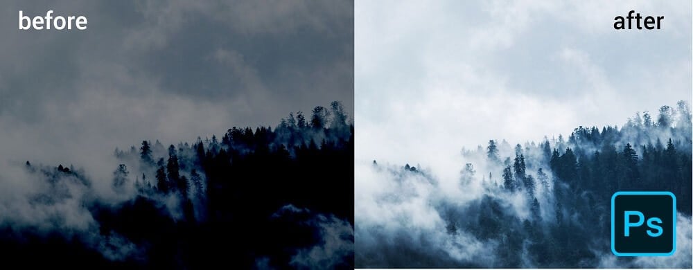 before and after result of brightening deep forest in fog