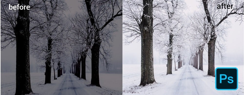 before and after result of brightening snow trees picture