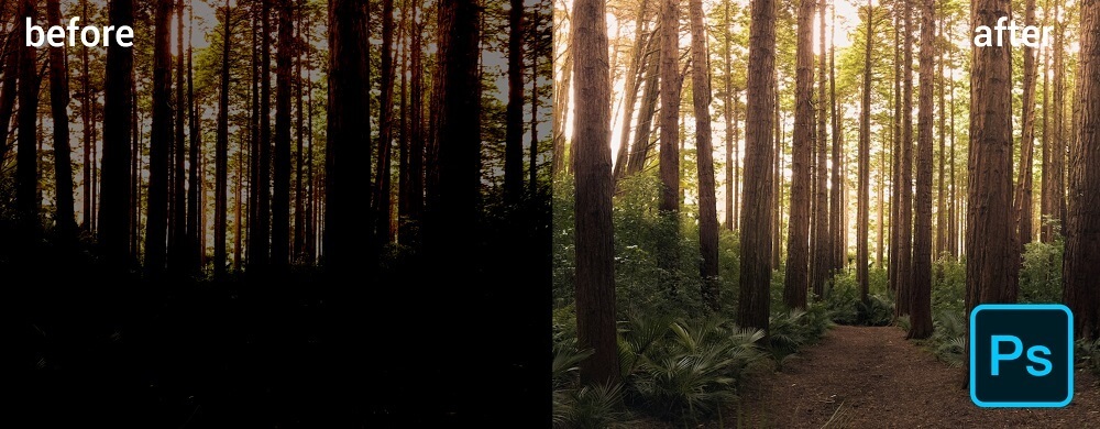 before and after result of brightening the deep forest picture