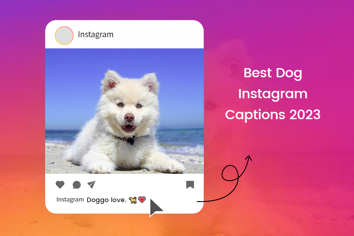 instagram profile page sharing dig pictures and dog instagram captions