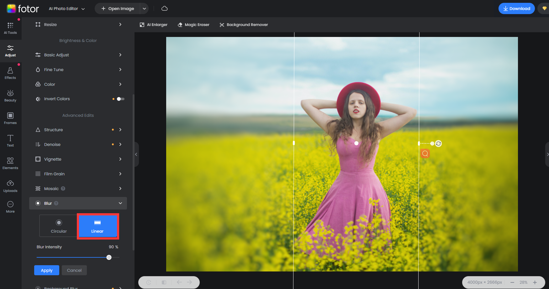 blur imgae background with linear blur tool