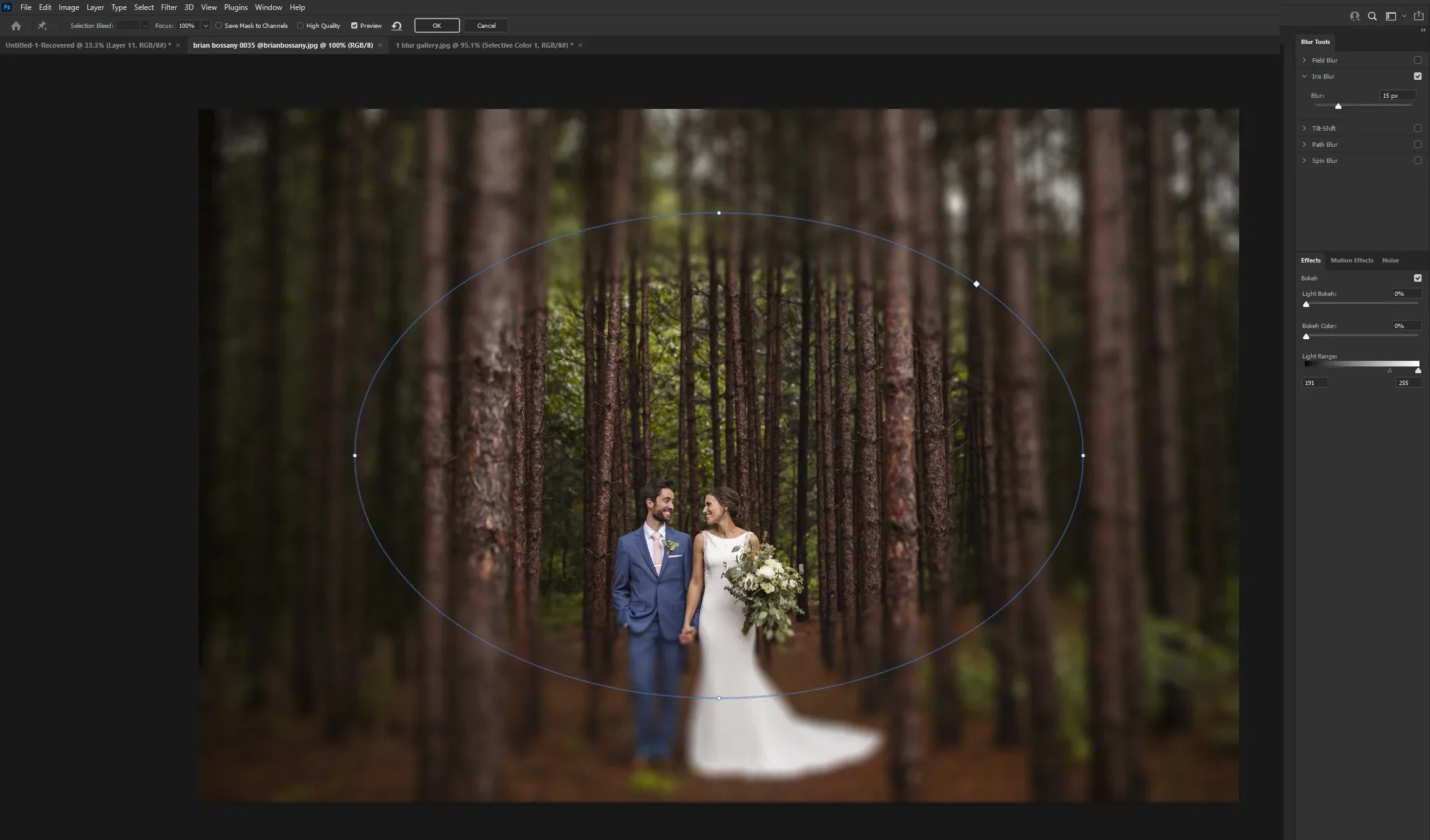 Verwischen Sie einen Teil des Hochzeitsbildes in Photoshop
