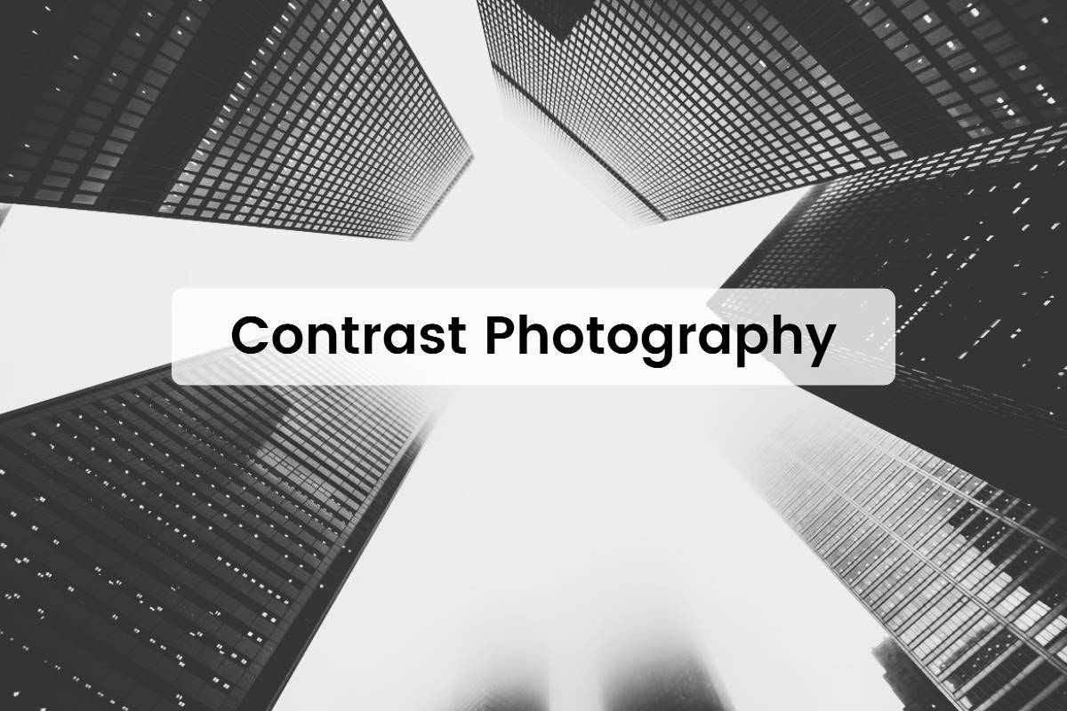 b&w color contrast photography cover