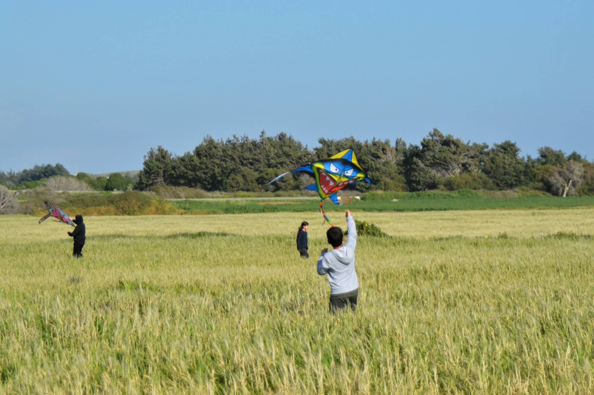 children flying kites in the field