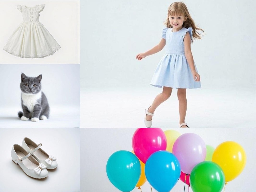 原始输入图片示例