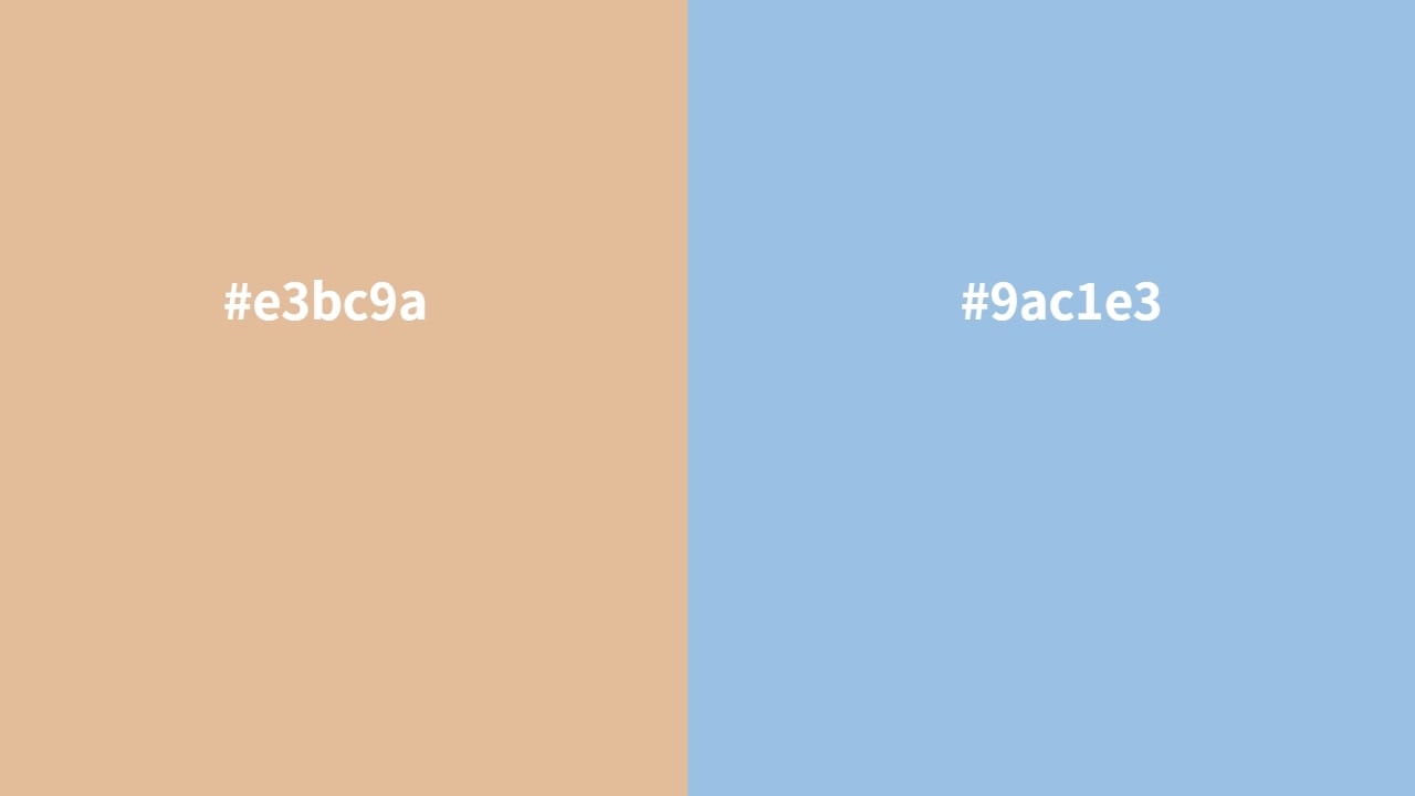 complementary color of e3bc9a and 9ac1e3