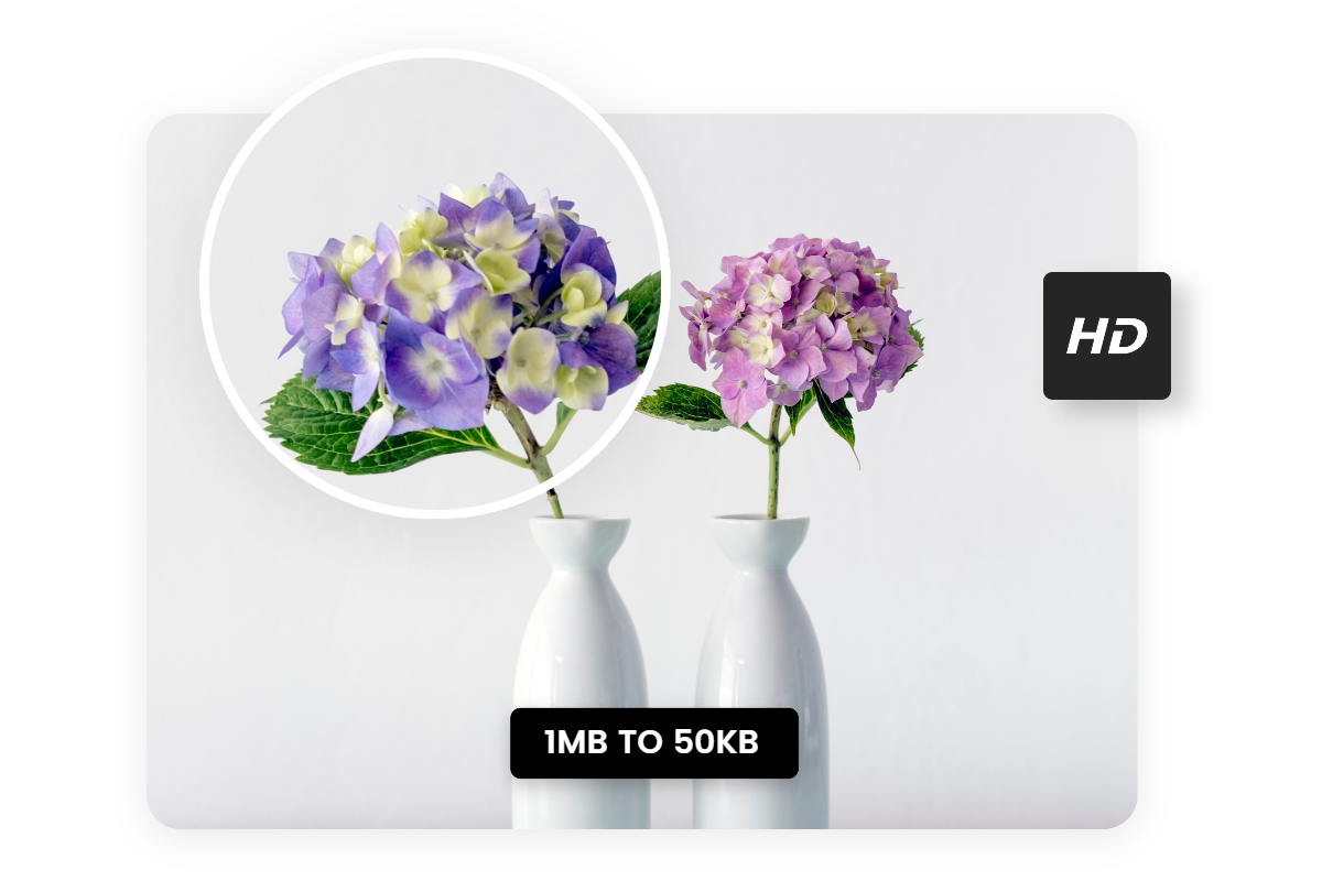 convert a 1mb flower photo to 50kb with high quality